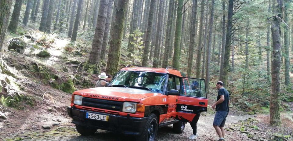 Madeira Island: Full-Day Guided Tour of Eastern Madeira - Booking Information