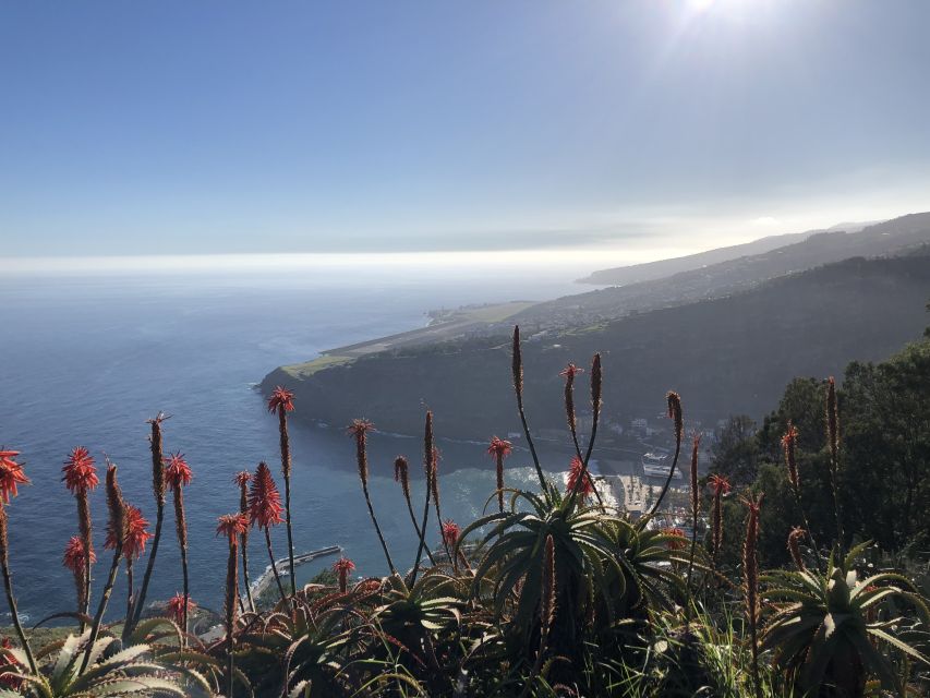 Madeira Island: Full-Day Guided Tour of Eastern Madeira - Customer Reviews