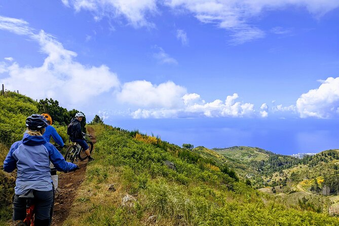 Madeira Island Guided Mountain Biking Adventure - Customer Experiences