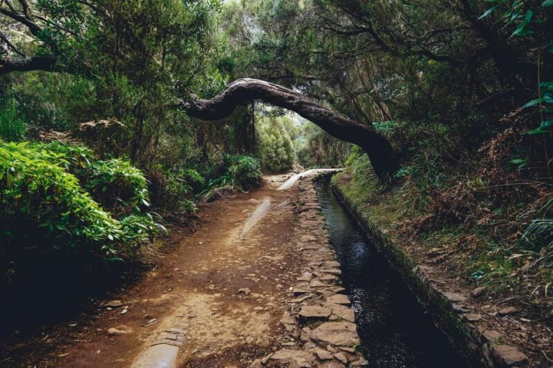 MADEIRA ISLAND WALK - 25 FOUNTAINS LEVADA - Key Points