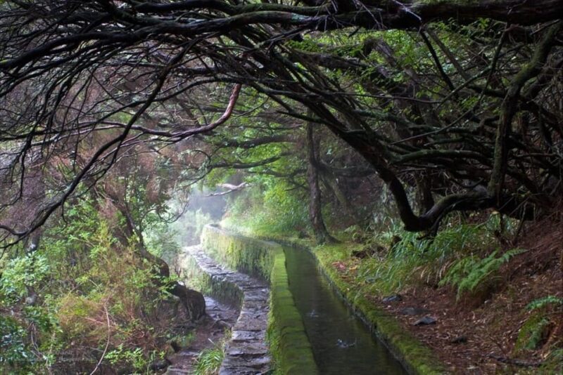MADEIRA ISLAND WALK - 25 FOUNTAINS LEVADA - Whats Included & What to Consider