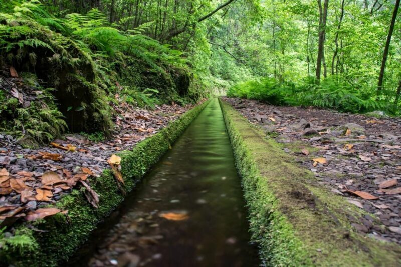 MADEIRA ISLAND WALK - HIDDEN CORNERS KINGS LEVADA - The Sum Up