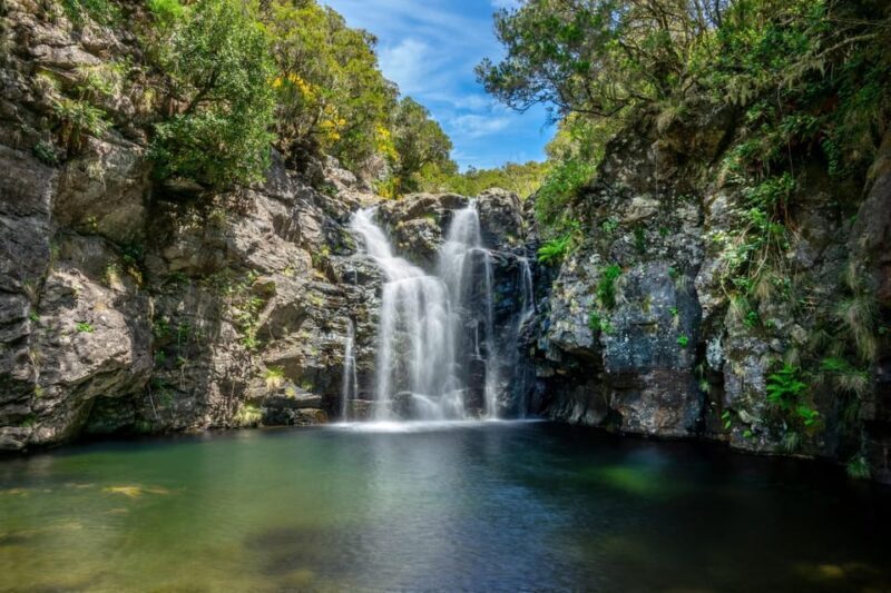 MADEIRA ISLAND WALK - LAKES OF MADEIRA , LEVADA DO ALECRIM - What Makes This Tour Stand Out