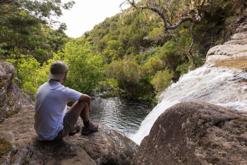 MADEIRA ISLAND WALK - LAKES OF MADEIRA , LEVADA DO ALECRIM - Frequently Asked Questions