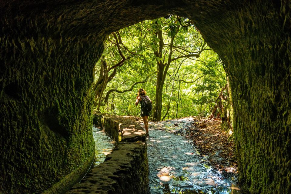 Madeira: Jungle Fever Levada Caldeirao Verde Hike Santana - Highlights of the Tour