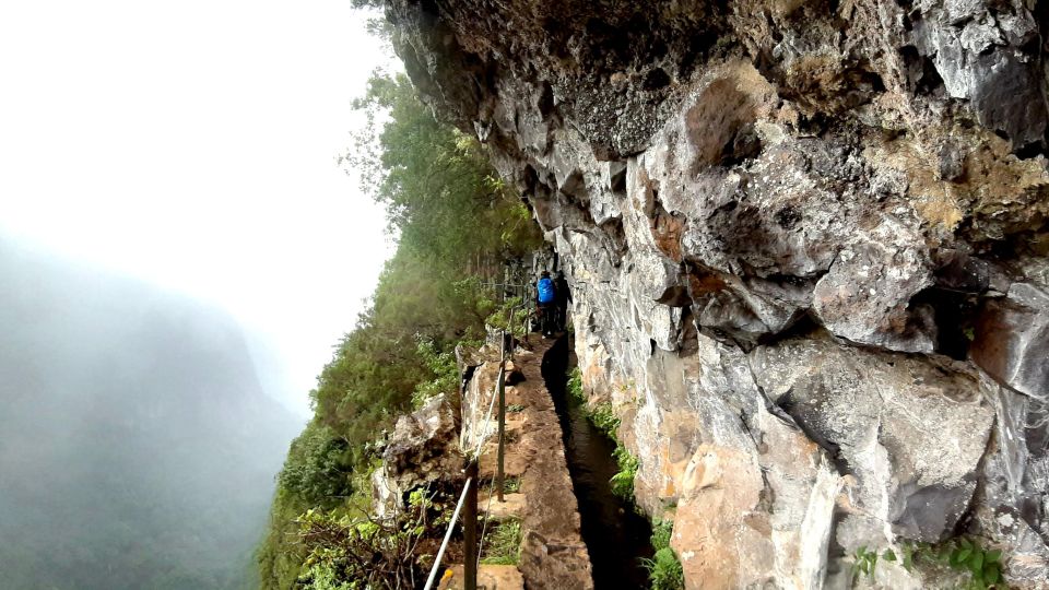 Madeira: Jungle Fever Levada Caldeirao Verde Hike Santana - Included in the Tour