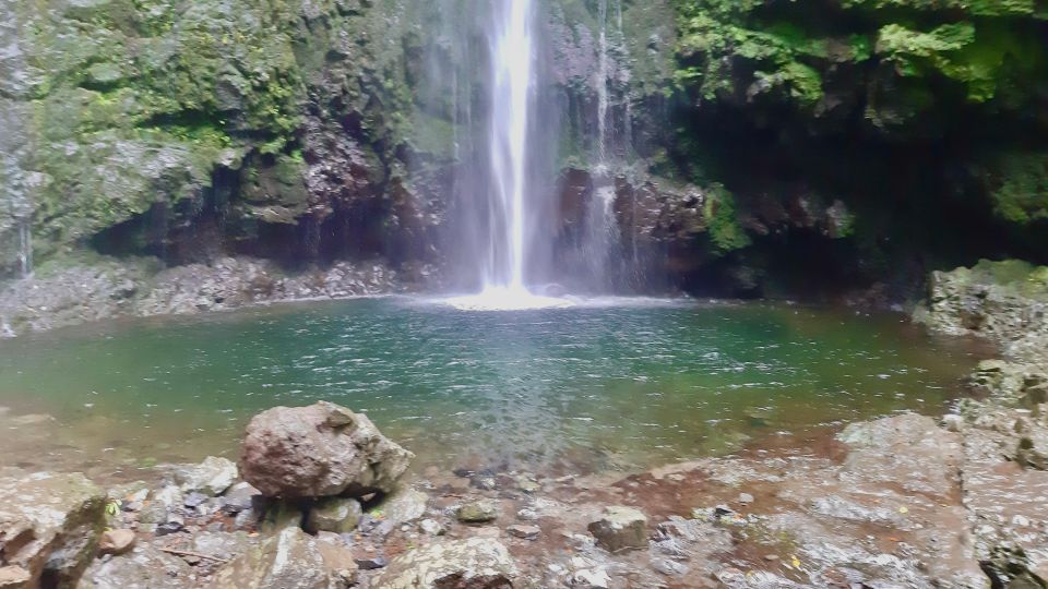 Madeira: Jungle Fever Levada Caldeirao Verde Hike Santana - Itinerary of the Tour