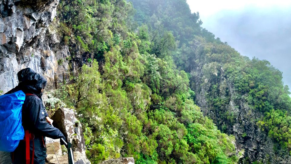 Madeira: Jungle Fever Levada Caldeirao Verde Hike Santana - Important Information