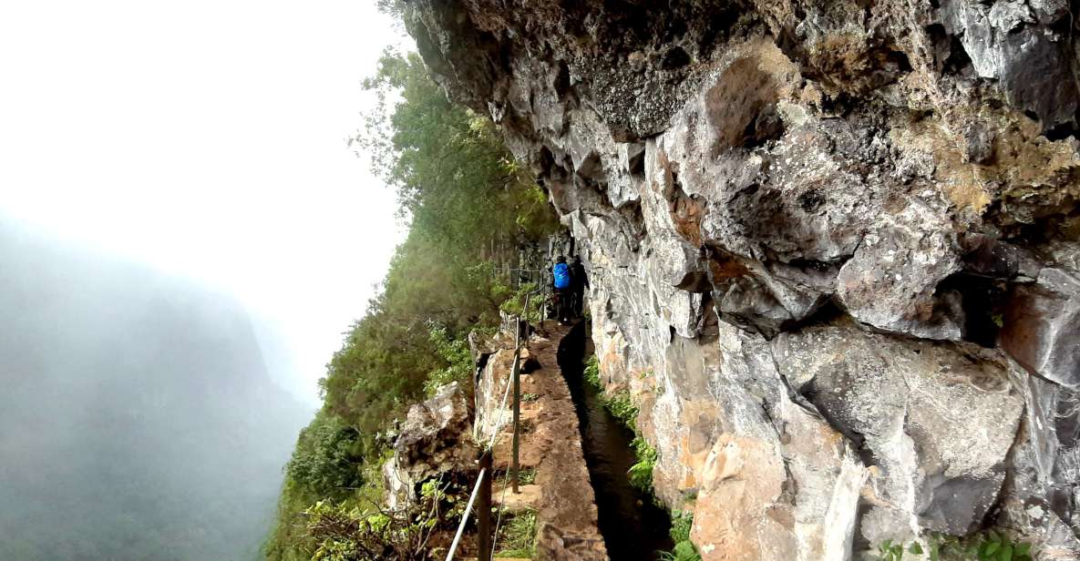 Madeira: Jungle Fever Levada Caldeirao Verde Hike Santana - Booking and Directions