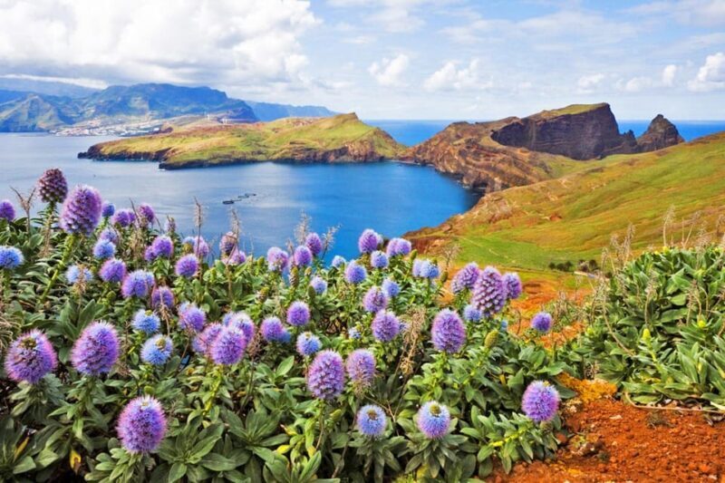 Madeira: Late East Tour with Pico do Areeiro Views - What Makes This Tour Stand Out?
