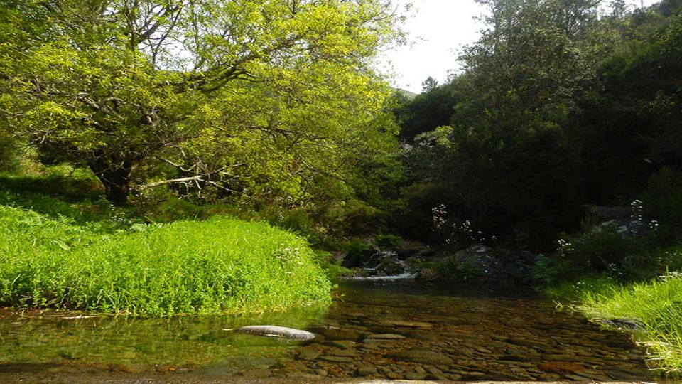 Madeira: Levada Calheta to Prazeres Private Walking Tour - Booking and Pricing