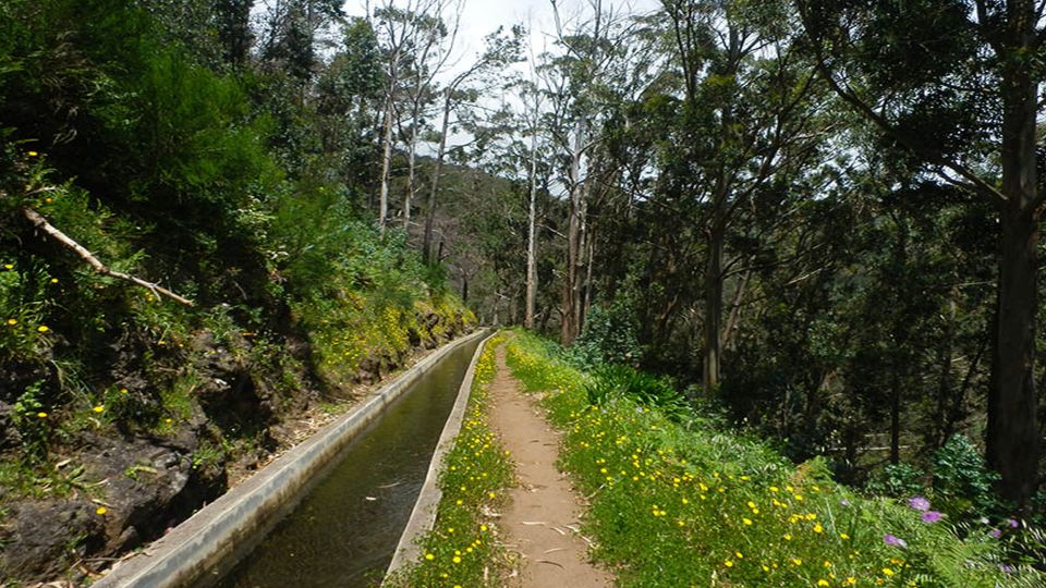 Madeira: Levada Calheta to Prazeres Private Walking Tour - Frequently Asked Questions