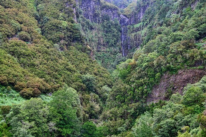 Madeira Levada Walk - Rabacal Lakes and Fountains - Accessibility and Group Size