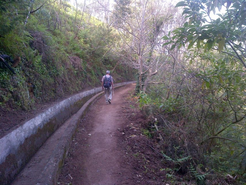 Madeira: Levado Do Norte 2-Hour Hiking Tour - Highlights of the Experience