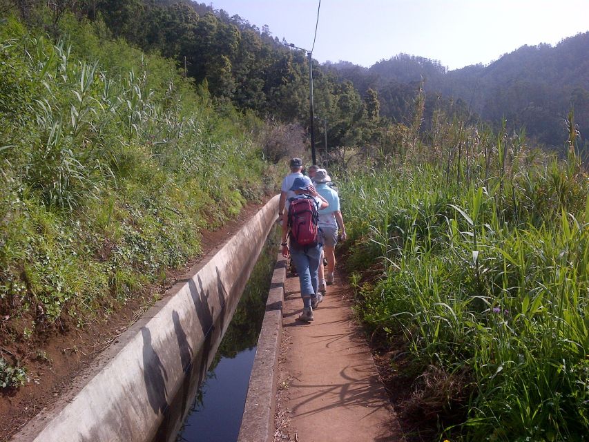 Madeira: Levado Do Norte 2-Hour Hiking Tour - Customer Ratings and Reviews