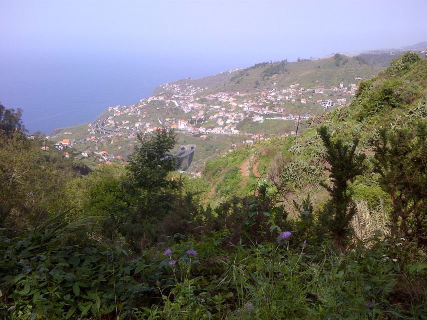 Madeira: Levado Do Norte 2-Hour Hiking Tour - Booking and Cancellation Policies