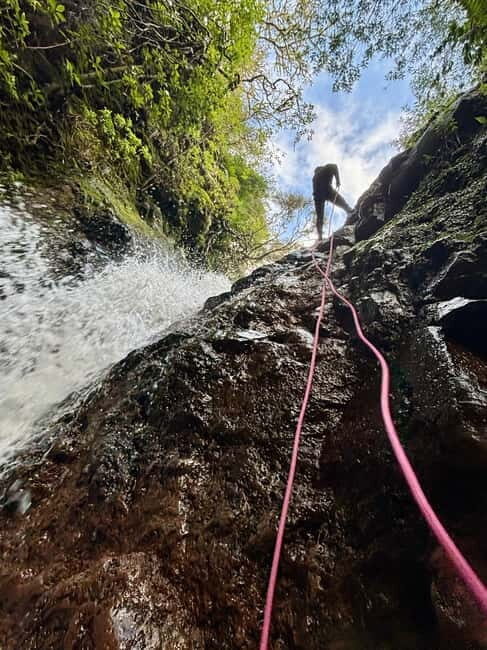 Madeira: Level 1 Canyoning Half Day Adventure - An In-Depth Look at the Madeira Canyoning Experience