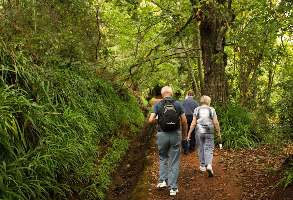 Madeira: Mini-Combo East Challenge: Jeep Safari + Levada - Inclusions and Exclusions