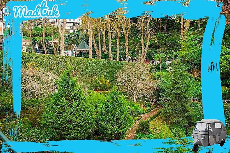 Madeira: Monte Toboggan + Old Town Tuk-Tuk Tour by MadTuk - Key Points
