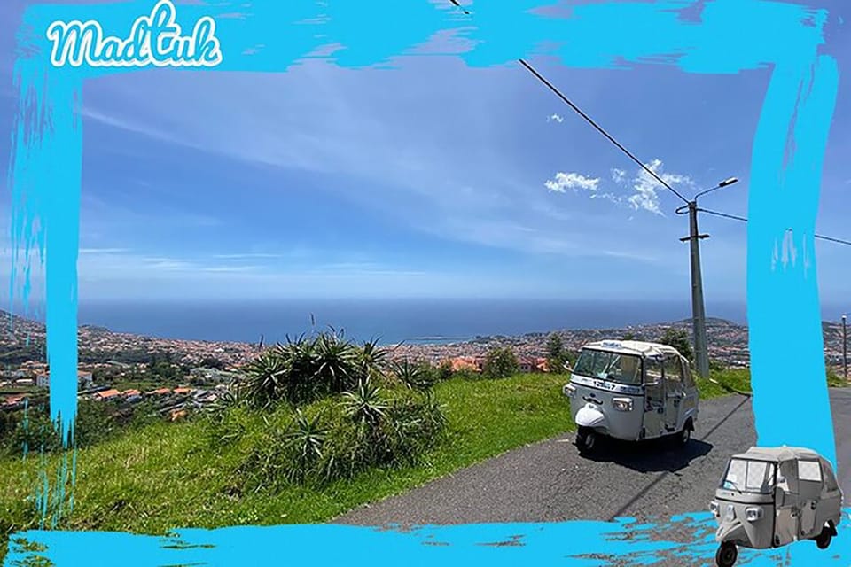 Madeira: Monte Toboggan + Old Town Tuk-Tuk Tour by MadTuk - Is It Worth the Price?
