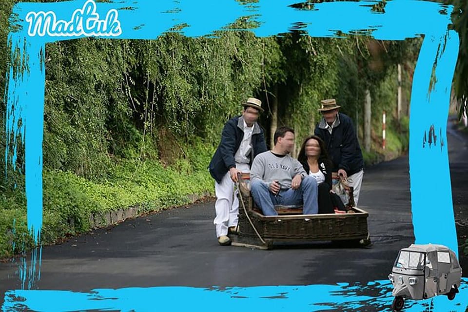 Madeira: Monte Toboggan + Old Town Tuk-Tuk Tour by MadTuk - Who Will Love This Tour?