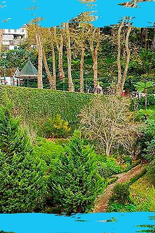 Madeira: Monte Toboggan + Old Town Tuk-Tuk Tour by MadTuk - Final Thoughts