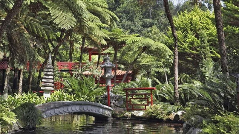 Madeira: Monte Tropical Gardens + Old Town Tuk Tuk by MadTuk - Introduction