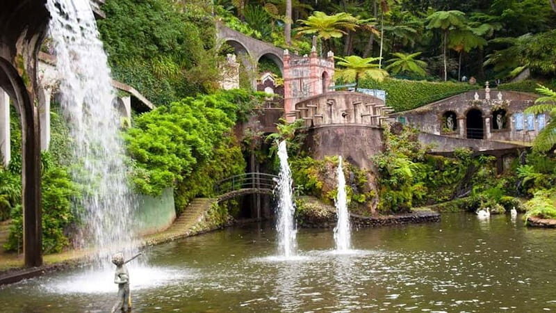 Madeira: Monte Tropical Gardens + Old Town Tuk Tuk by MadTuk - Who Will Appreciate This Tour?