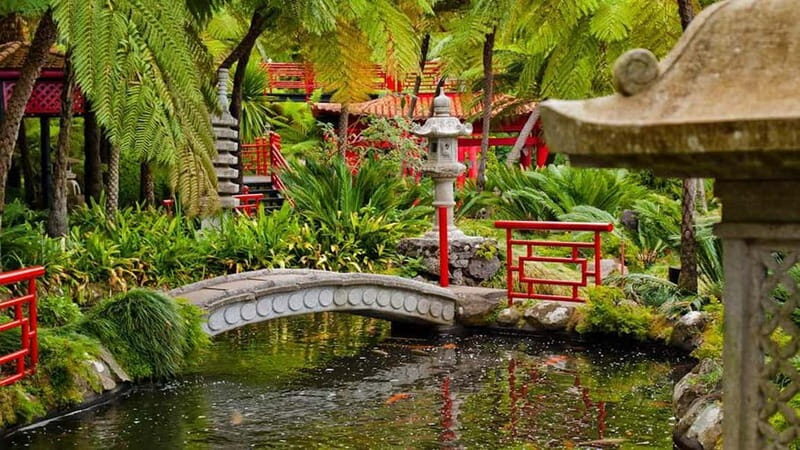 Madeira: Monte Tropical Gardens + Old Town Tuk Tuk by MadTuk - The Sum Up