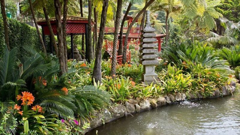 Madeira: Monte Tropical Gardens + Old Town Tuk Tuk by MadTuk - Key Points