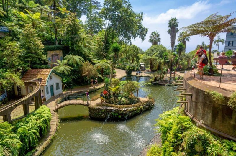 Madeira: Monte Tropical Gardens + Old Town Tuk Tuk by MadTuk - Who is this tour perfect for?
