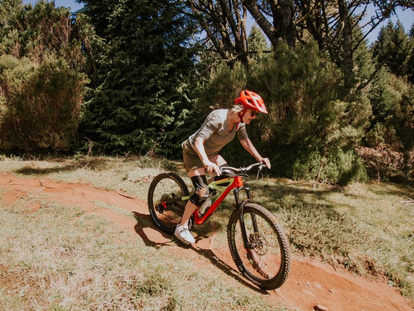 Madeira : Mountain Bike Trail Experience - Highlights of the Mountain Bike Tour