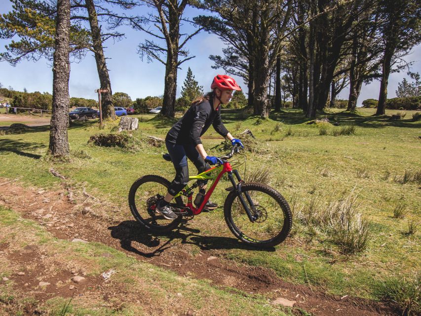 Madeira : Mountain Bike Trail Experience - Bike Specifications and Inclusions