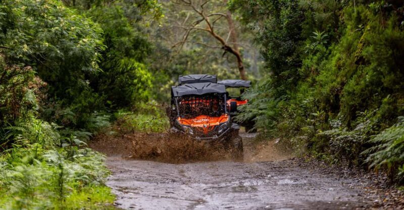 Madeira: OFF-ROAD BUGGY ADVENTURE TO FUNDURAS - An Adventurous Way to Explore Madeira’s Natural Beauty