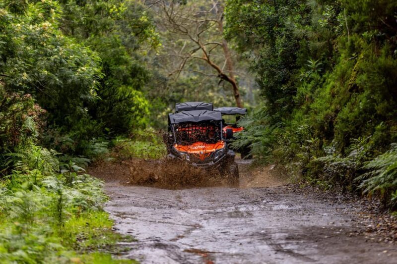 Madeira: OFF-ROAD BUGGY ADVENTURE TO FUNDURAS - FAQ