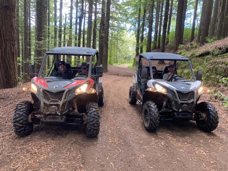 Madeira: Off-Road Buggy Driving Experience - An Honest Look at Madeira’s Off-Road Buggy Tour