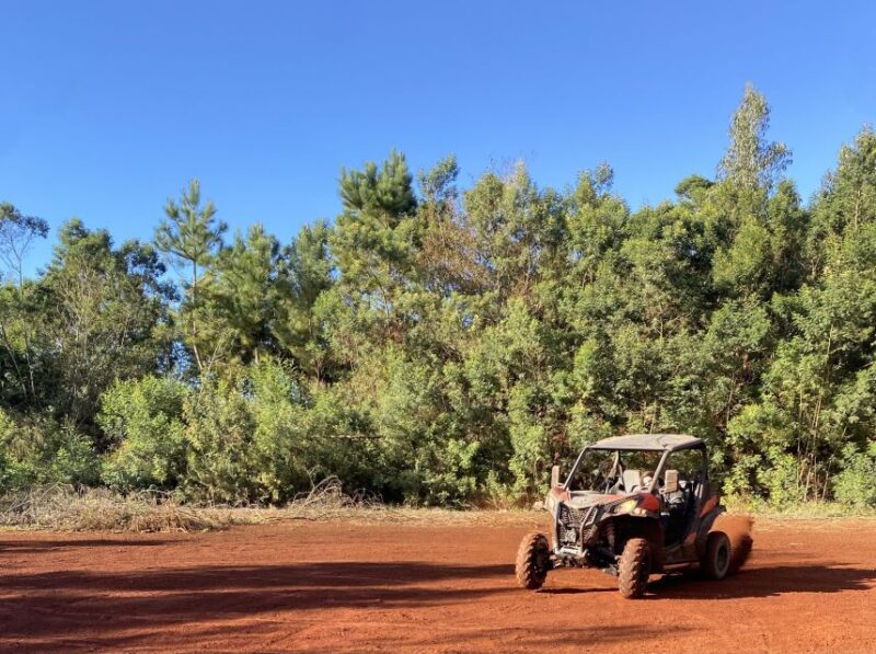 Madeira: Off-Road Buggy Driving Experience - The Sum Up: Who Should Consider This Experience?