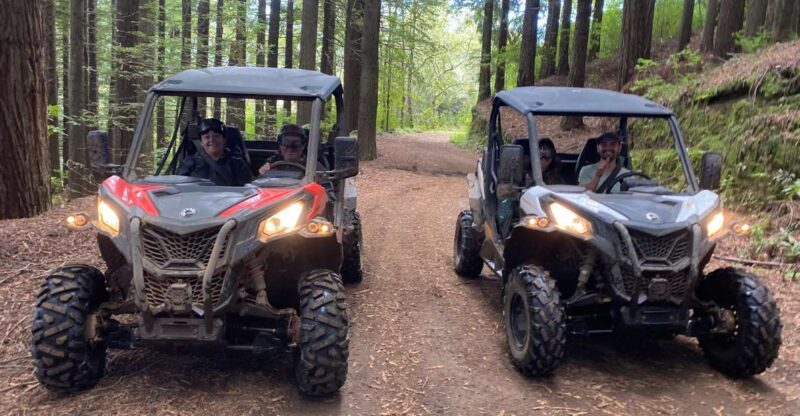 Madeira: Off-Road Buggy Driving Experience - Key Points