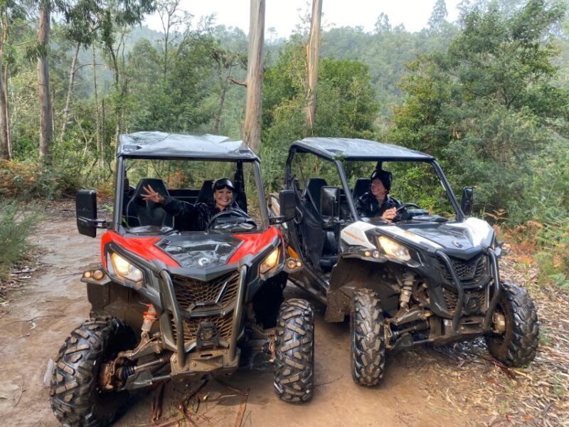Madeira: Off-Road Buggy Driving Experience - The Value of This Experience
