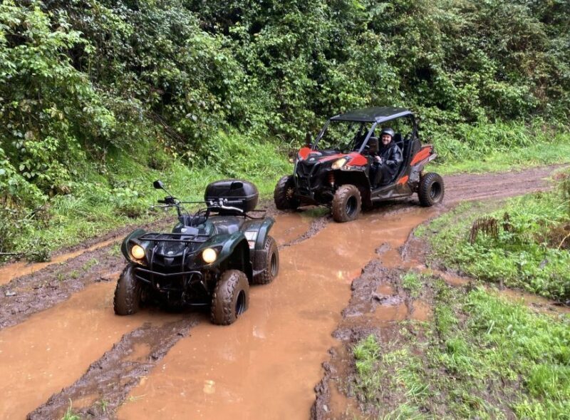 Madeira: Off-Road Buggy Driving Experience - Who Will Love This Tour?