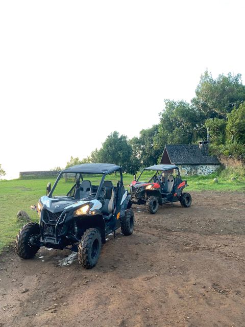 Madeira: Off-Road Buggy Driving Experience - Practical Tips for Travelers