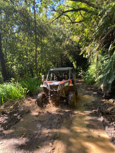 Madeira: Off-Road Buggy Driving Experience - FAQs