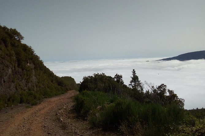Madeira Off-Road Tours - Transportation and Accessibility
