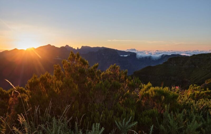Madeira: Pico do Areeiro Sunrise Experience - What Others Say