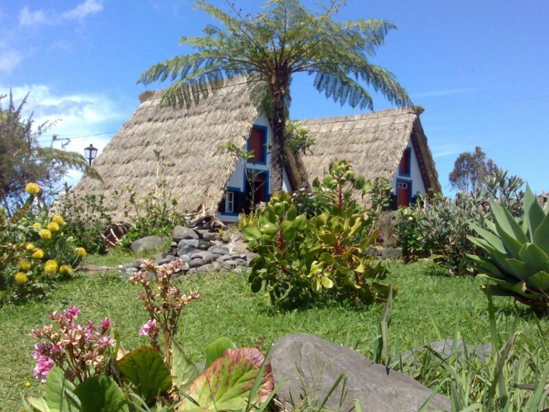 Madeira: Pico do Arieiro & Laurissilva Forest - East tour - Madeira: Pico do Arieiro & Laurissilva Forest - East tour
