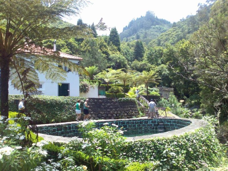 Madeira: Pico do Arieiro & Laurissilva Forest - East tour - How the tour runs and what’s included
