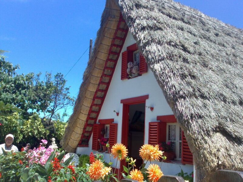 Madeira: Pico do Arieiro & Laurissilva Forest - East tour - Value and who this tour is best for