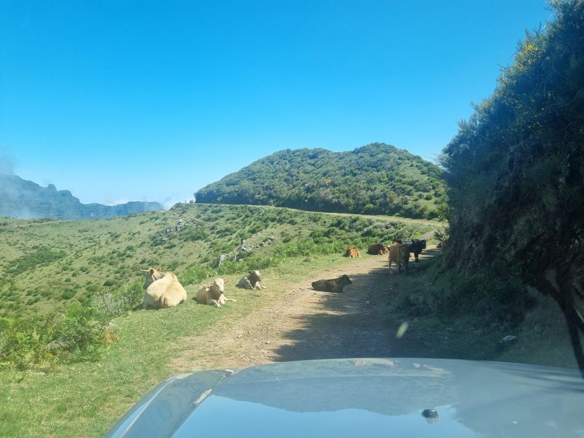 Madeira: Picturesque Peaks and Skywalk Private 4x4 Jeep Tour - Key Points