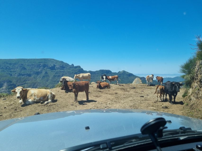 Madeira: Picturesque Peaks and Skywalk Private 4x4 Jeep Tour - Cabo Girão Sea Cliff