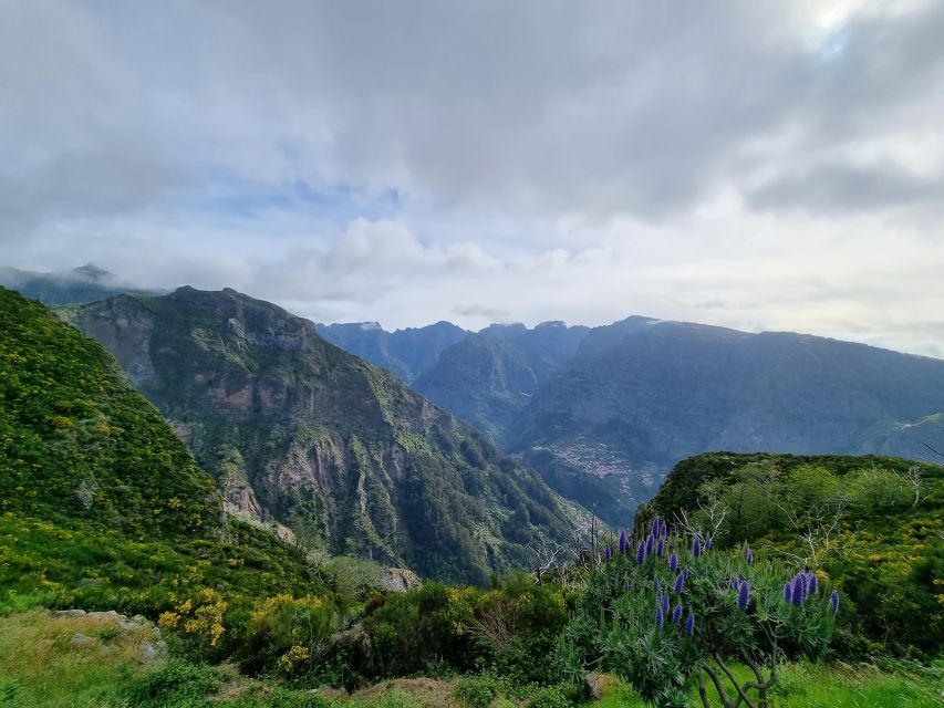 Madeira: Picturesque Peaks and Skywalk Private 4x4 Jeep Tour - Inclusions and Pricing